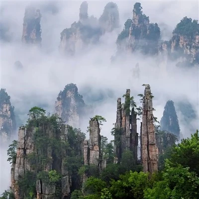 Chongqing i Zhangjiajie Prilagođena tura